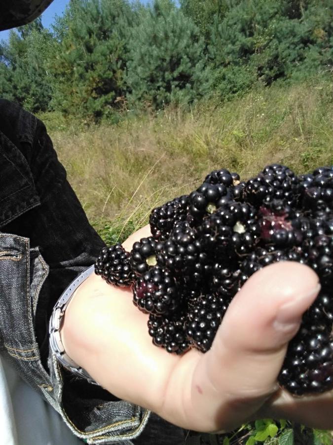 Yasna Sadyba Jasenitsa Zamkova Eksteriør bilde